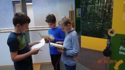 Foto des Albums: Exkursion Nationalpark Klasse 4