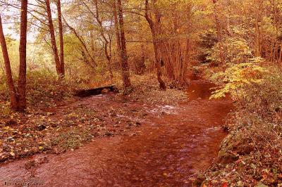 An der Werra 