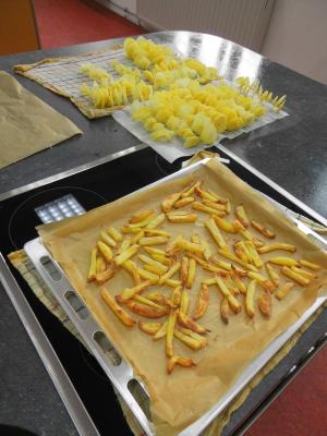 Foto des Albums: Kartoffelprojekt 2015