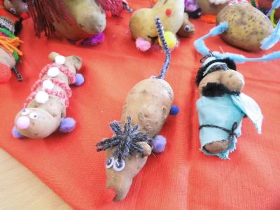 Foto des Albums: Kartoffelprojekt 2015