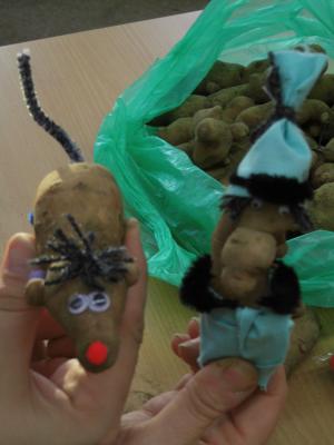 Foto des Albums: Kartoffelprojekt 2015