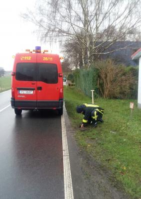 ... dieser ist aber leider von Gras und Erde &uuml;berdeckt und damit schwer zu finden 