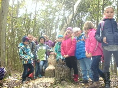 Foto des Albums: Erlebnisreiche Herbstferien