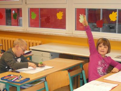 Foto des Albums: Schnappschüsse aus den Klassen (19.11.2015)