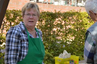 Foto des Albums: Museumsfest im Innenhof