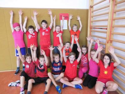 Foto des Albums: Zweifelderball- Turnier 2015