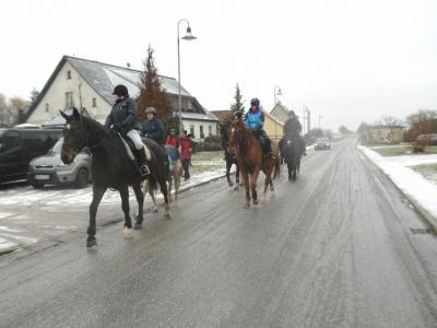 Foto des Albums: Gänsebratenritt (28.11.2015)