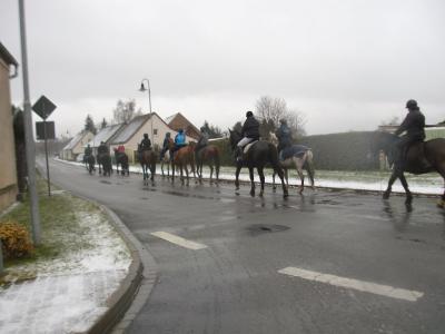 Foto des Albums: Gänsebratenritt (28.11.2015)