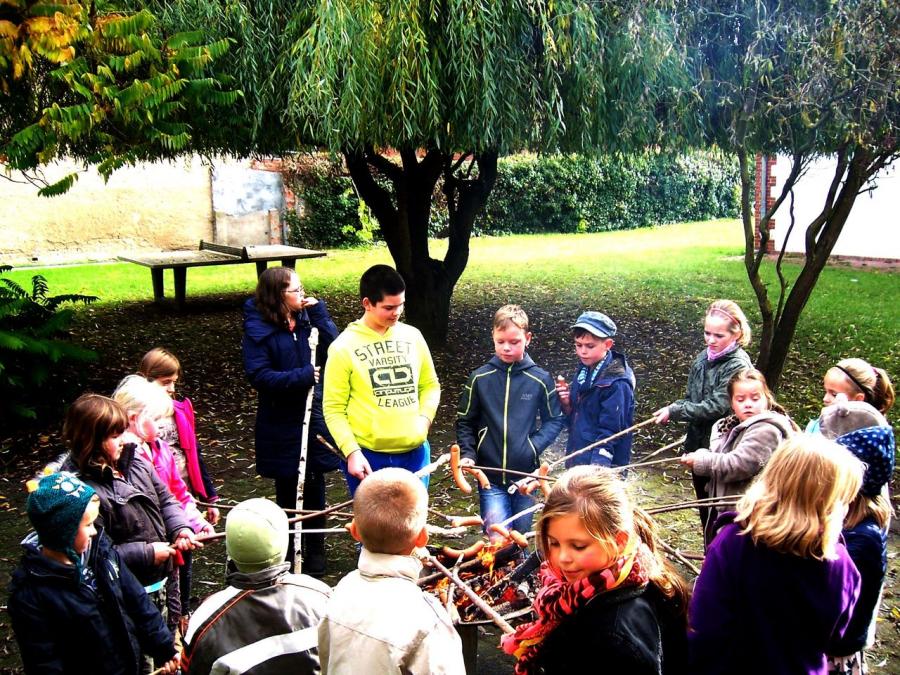 Bild der Galerie