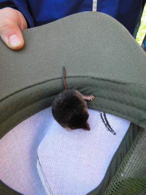 Foto des Albums: Besuch des Forsthofes Dümmer