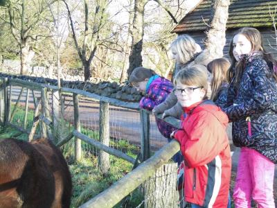 Foto des Albums: Besuch des Forsthofes Dümmer