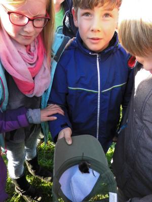 Foto des Albums: Besuch des Forsthofes Dümmer