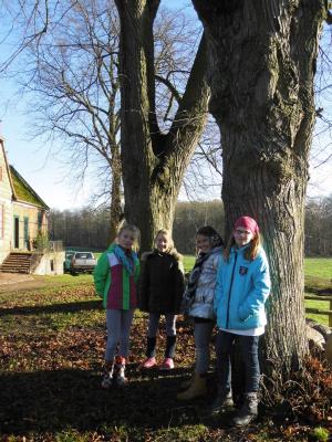 Foto des Albums: Besuch des Forsthofes Dümmer