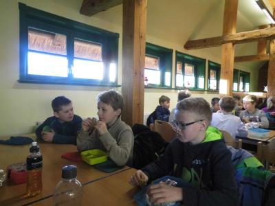 Foto des Albums: Besuch des Forsthofes Dümmer