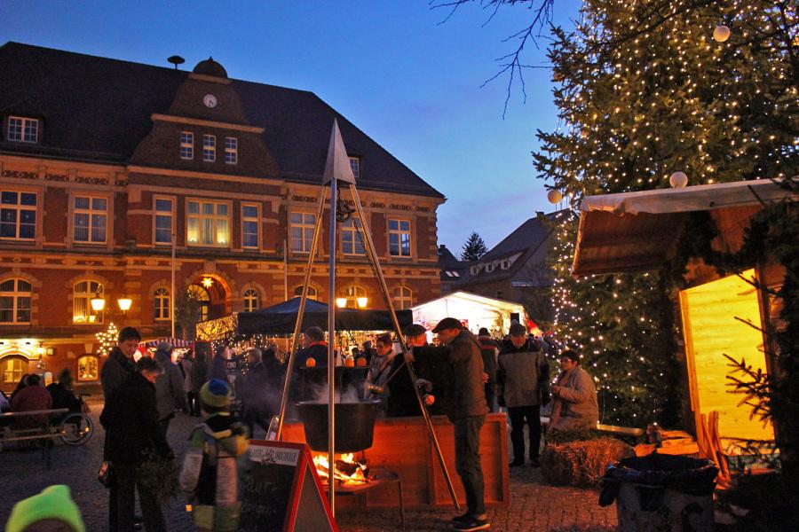 Bild der Galerie