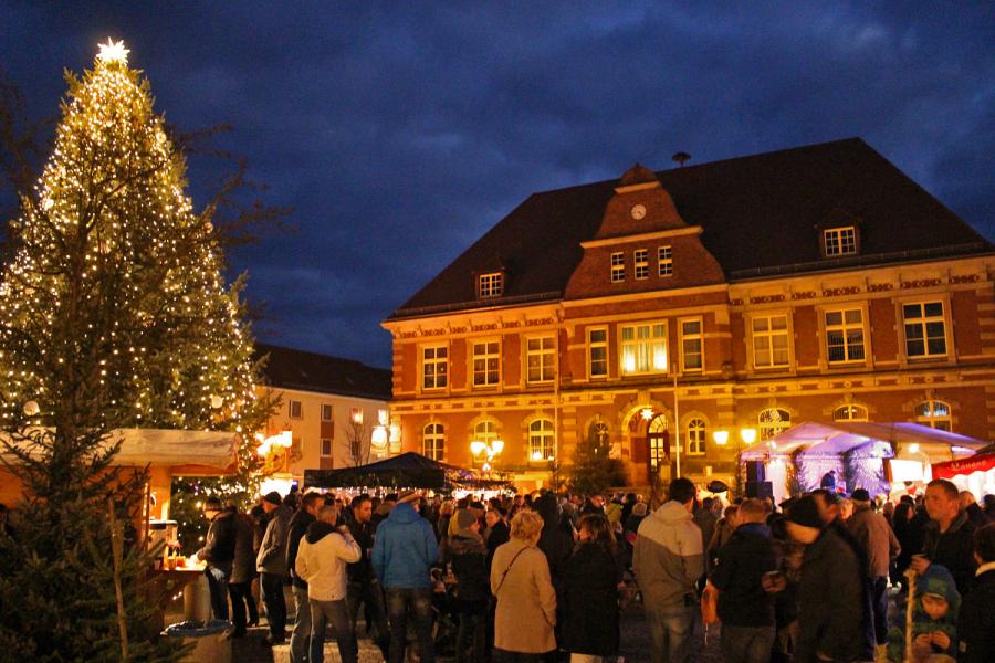 Bild der Galerie