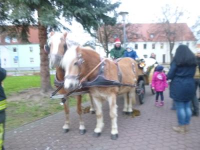 Foto des Albums: Seelandweihnacht