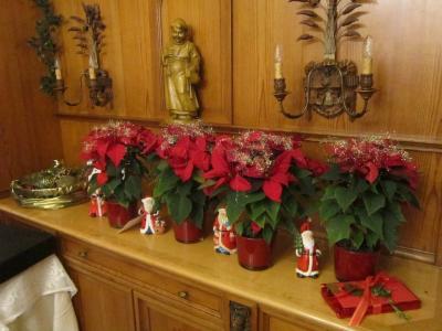 Foto des Albums: SHG Adventsfeier 2015