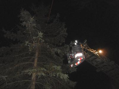 Foto des Albums: Weihnachtsbaum schmücken OT Hoym