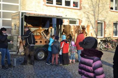 Foto des Albums: Weihnachtsmarkt OT Gatersleben