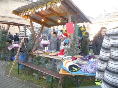Foto des Albums: Weihnachtsmarkt in Schloß Hoym Stiftung