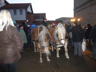 Foto des Albums: Weihnachtsmarkt in Schloß Hoym Stiftung