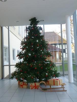 Foto des Albums: Weihnachtsmarkt in Schloß Hoym Stiftung