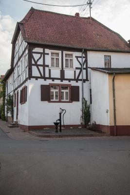 Foto des Albums: Impressionen