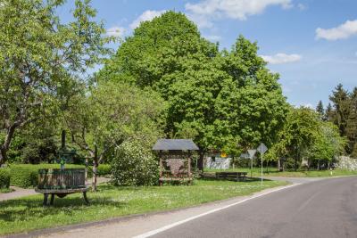 Foto des Albums: Impressionen