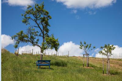 Foto des Albums: Impressionen