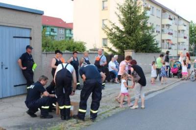 Foto des Albums: Kinder- und Heimatfest Mühlberg, Fackelumzug