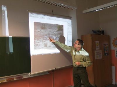 Foto des Albums: Wildschwein Reh und Fuchs