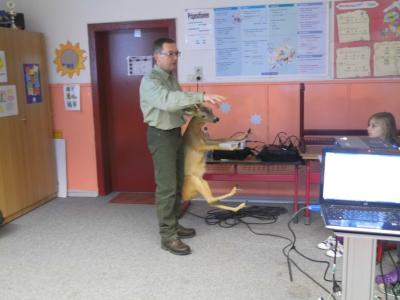 Foto des Albums: Wildschwein Reh und Fuchs