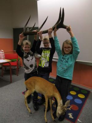 Foto des Albums: Wildschwein Reh und Fuchs