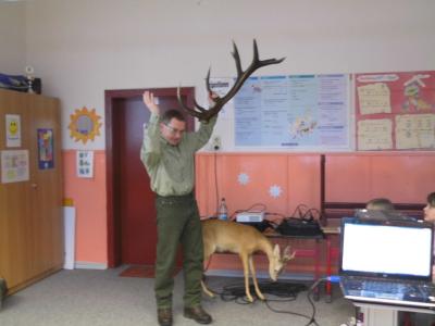 Foto des Albums: Wildschwein Reh und Fuchs