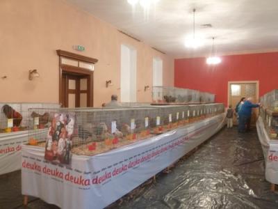 Foto des Albums: 90 Jahre Rassegeflügelzuchtverein Hoym e. V.