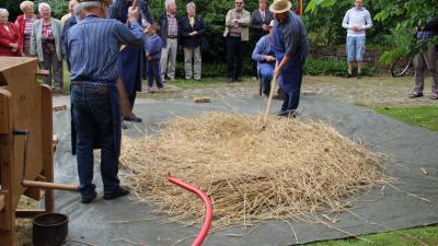 Foto des Albums: 825 Jahrfeier Kiebitz
