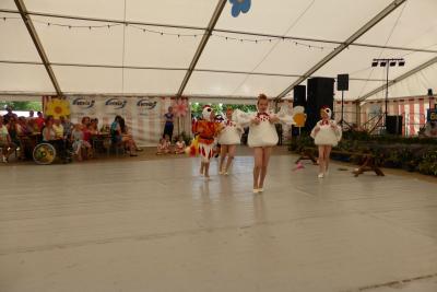 Foto des Albums: 825 Jahrfeier Kiebitz