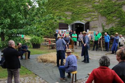 Foto des Albums: 825 Jahrfeier Kiebitz