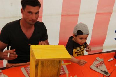 Foto des Albums: 825 Jahrfeier Kiebitz