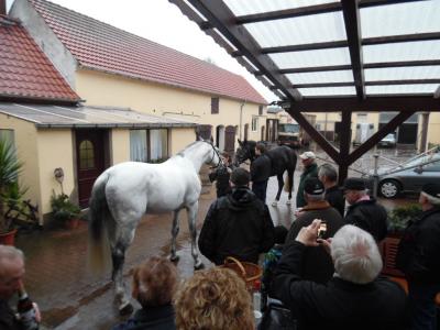 Foto des Albums: Wehnsdorfer LICHTMESS 2016