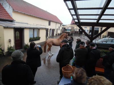 Foto des Albums: Wehnsdorfer LICHTMESS 2016