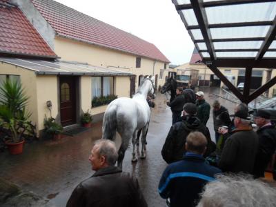 Foto des Albums: Wehnsdorfer LICHTMESS 2016