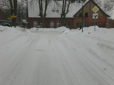 Foto des Albums: Winter (29. 01. 2010)