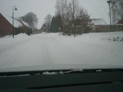 Foto des Albums: Winter (29. 01. 2010)