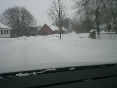 Foto des Albums: Winter (29. 01. 2010)