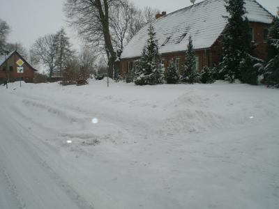 Foto des Albums: Winter (29. 01. 2010)