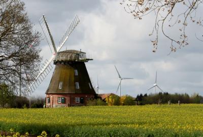 Foto des Albums: Dorfrundgang Grebbin 2015 (28. 04. 2015)