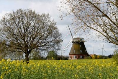 Foto des Albums: Dorfrundgang Grebbin 2015 (28. 04. 2015)