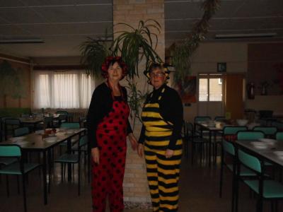 Foto des Albums: Fasching 2016